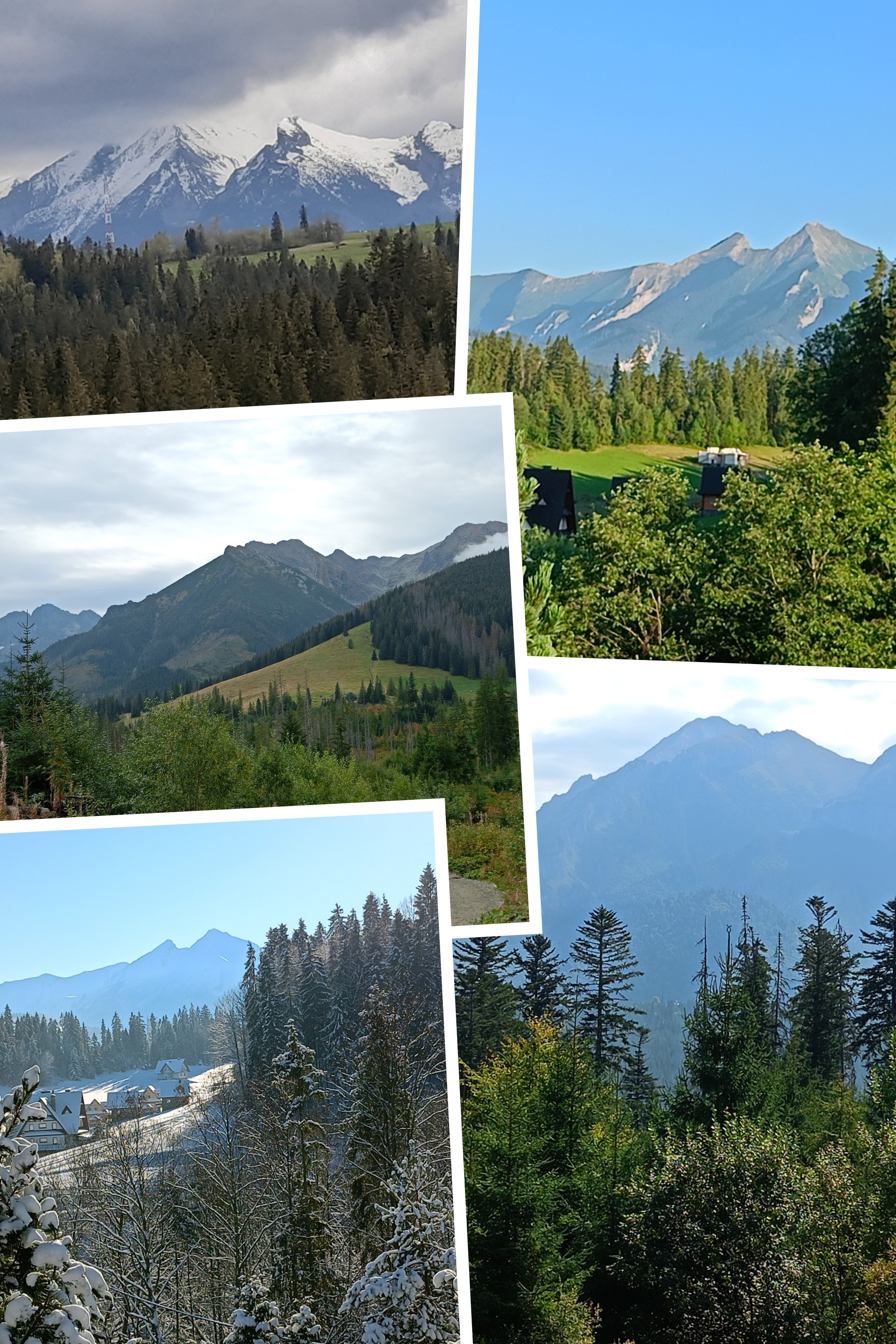 20241122_103319-COLLAGE