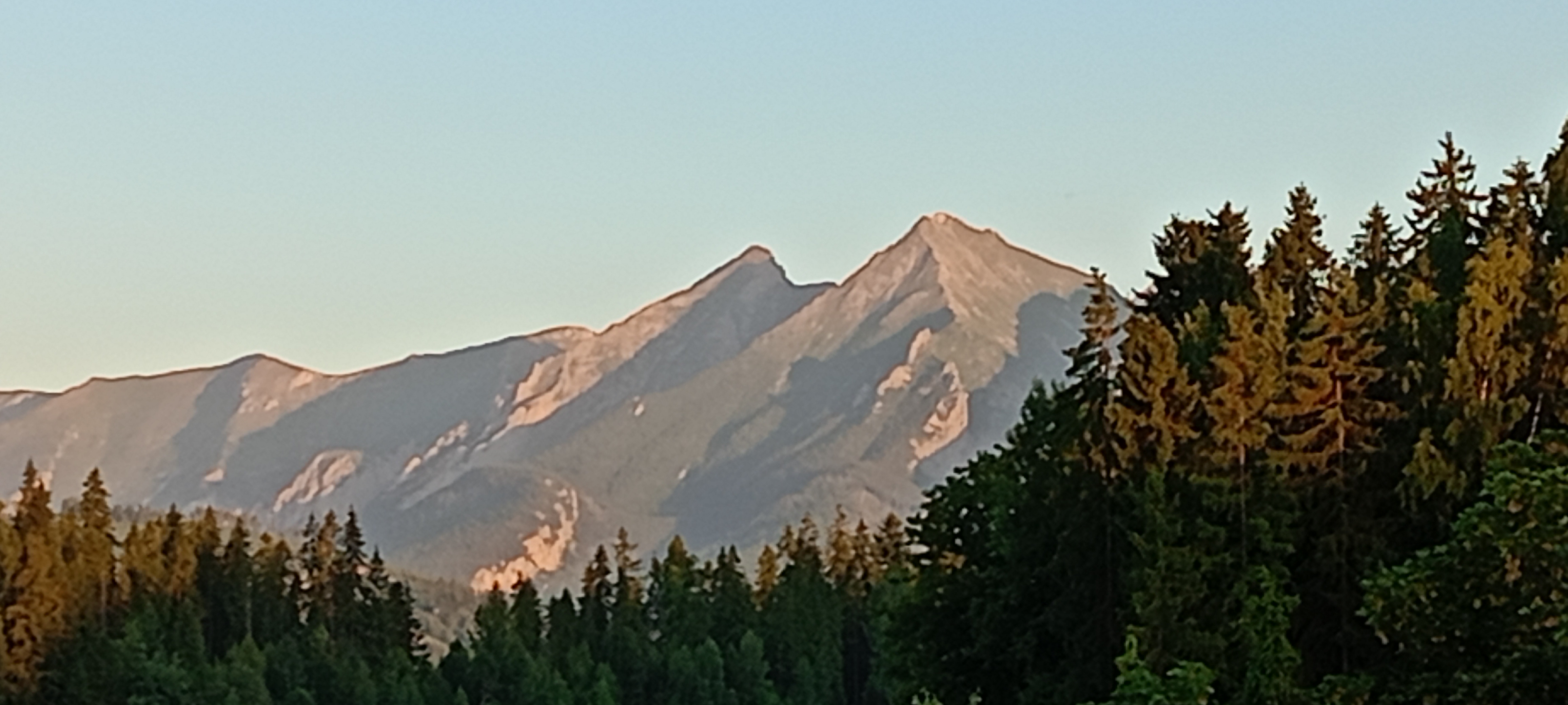 Widok