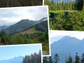 20241122_103319-COLLAGE
